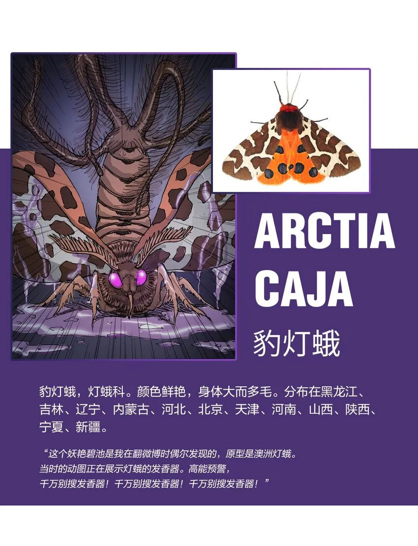 百科 虫男大百科 第6页