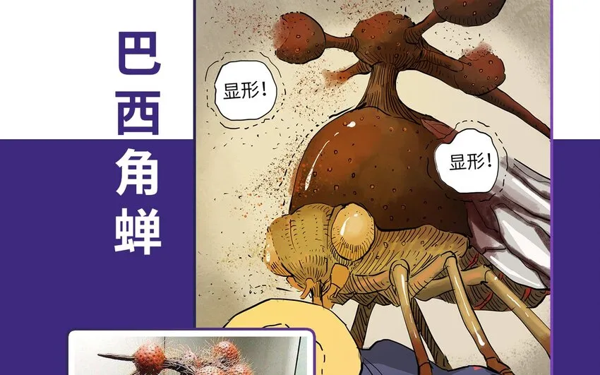 百科 虫男大百科 第8页