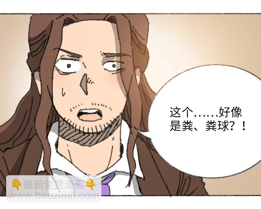 024 进入城区 第25页