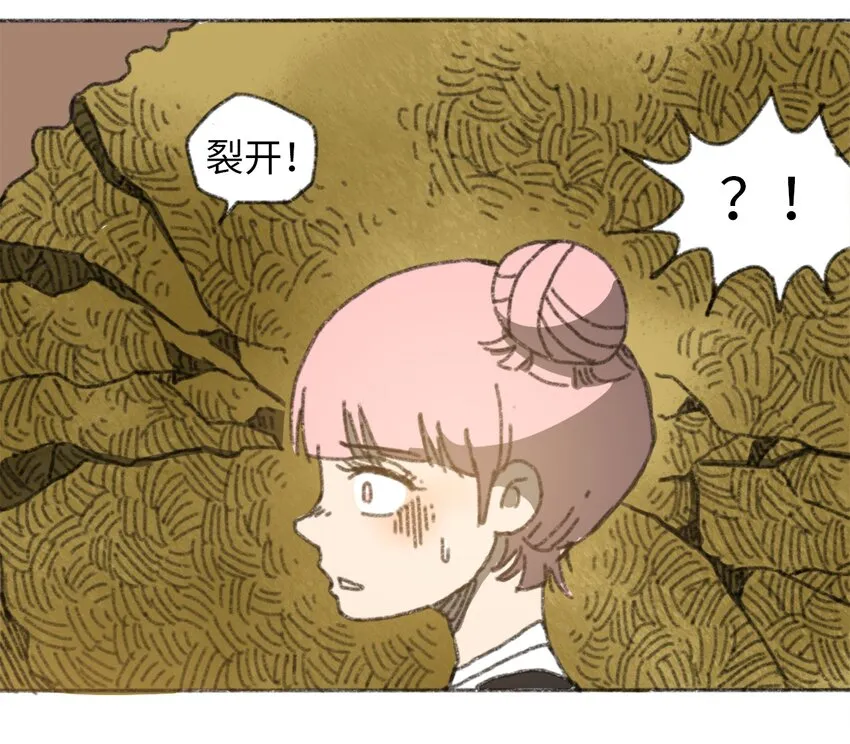 024 进入城区 第37页