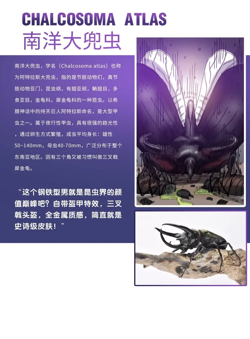 番外01 番外01+百科 第29页