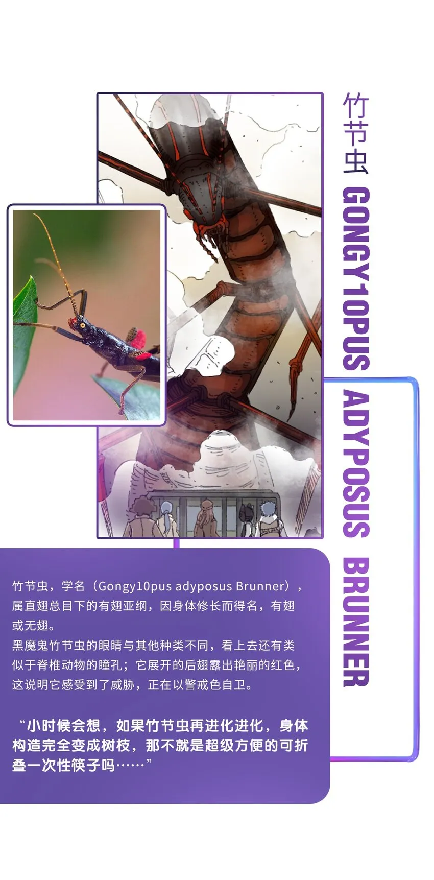 番外01 番外01+百科 第30页