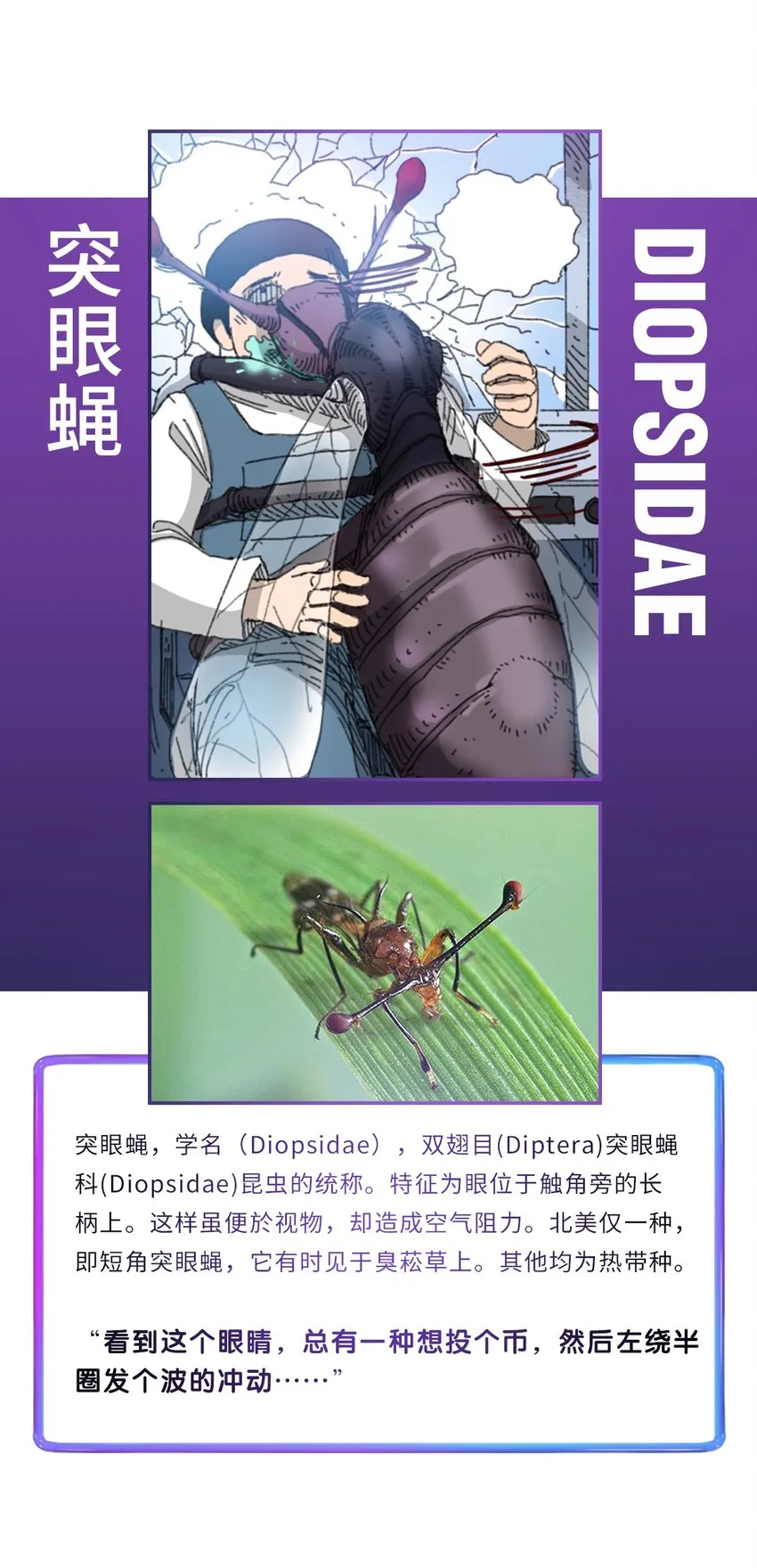 番外01 番外01+百科 第33页