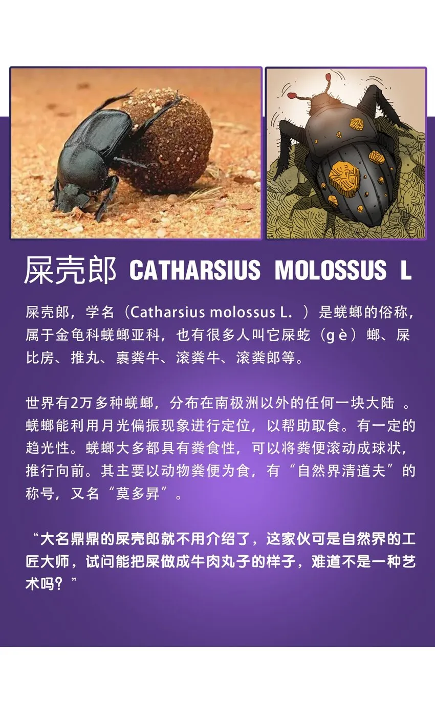 番外01 番外01+百科 第34页