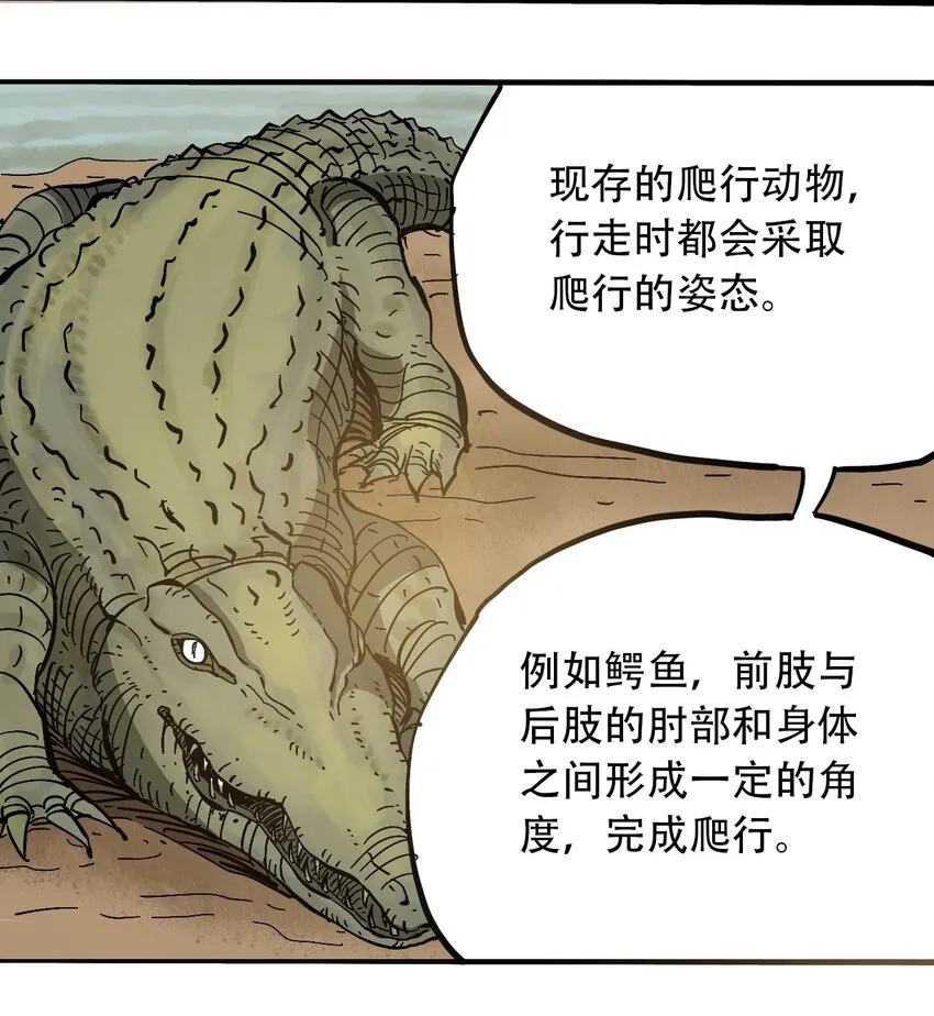 050 直立姿态 第3页