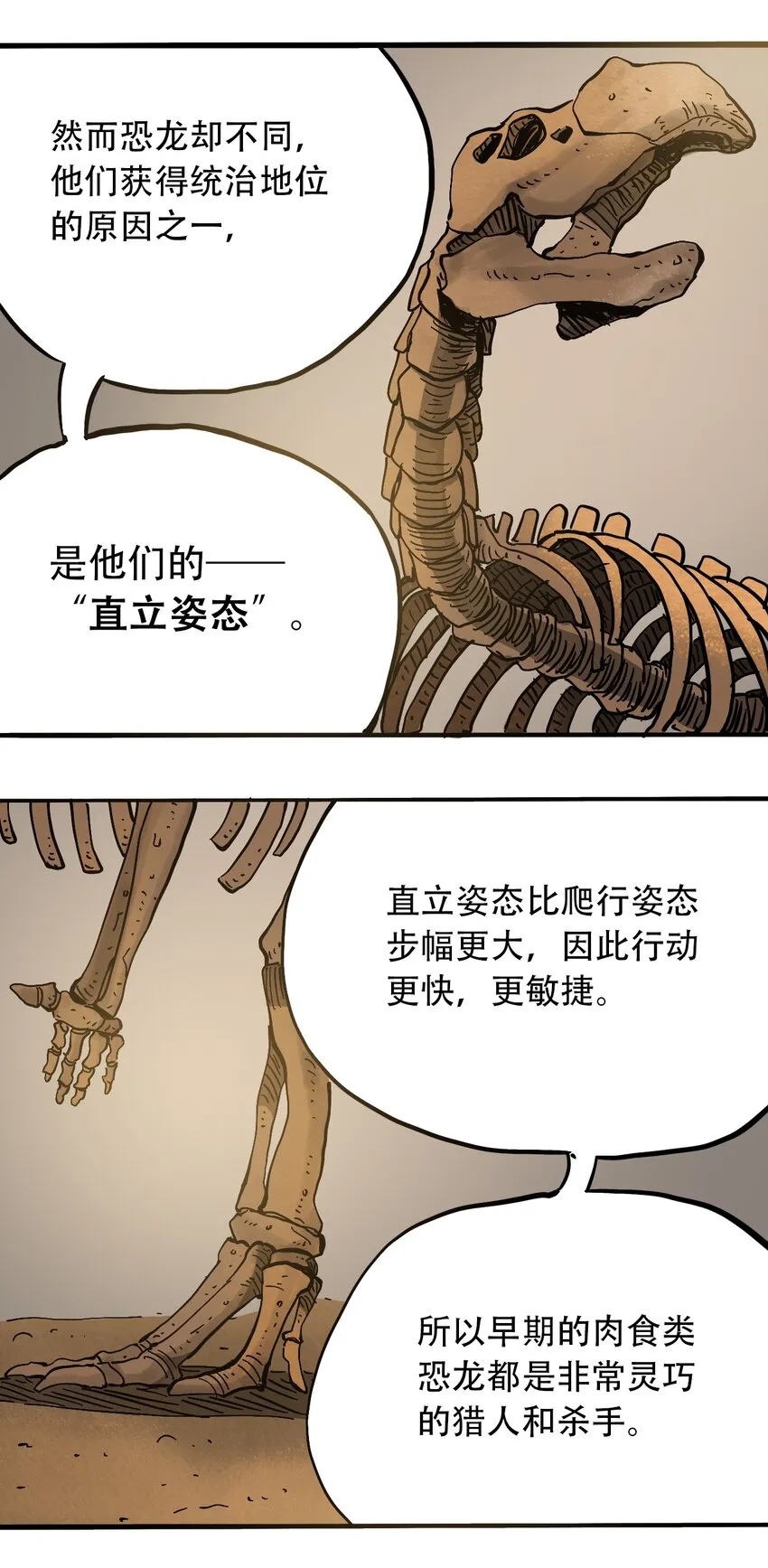050 直立姿态 第4页