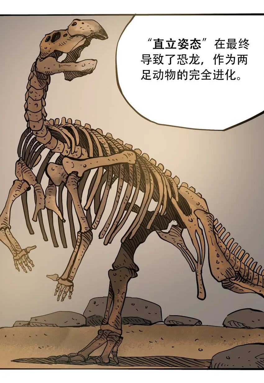 050 直立姿态 第5页
