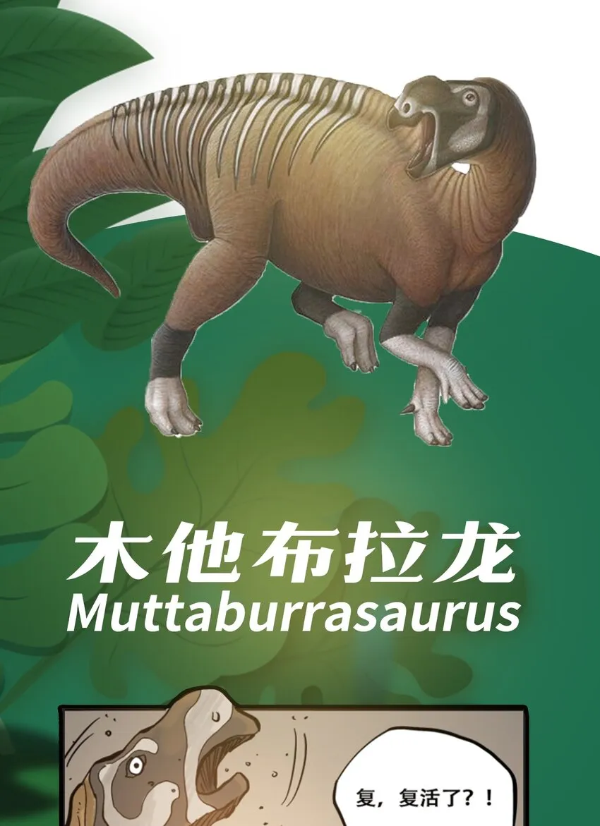 百科 虫男大百科3 第3页