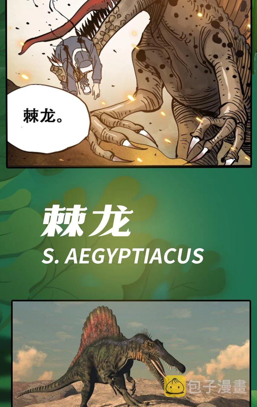 百科 虫男大百科3 第6页