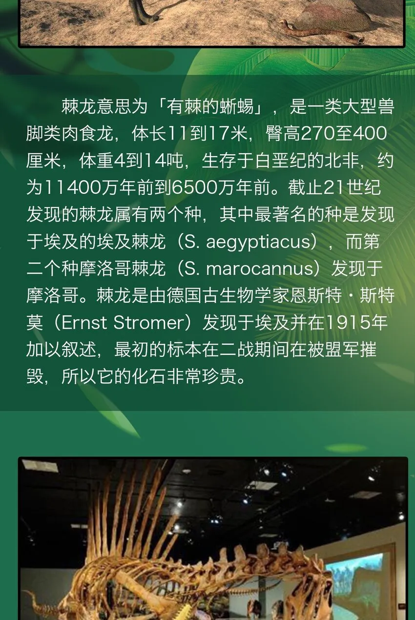 百科 虫男大百科3 第7页