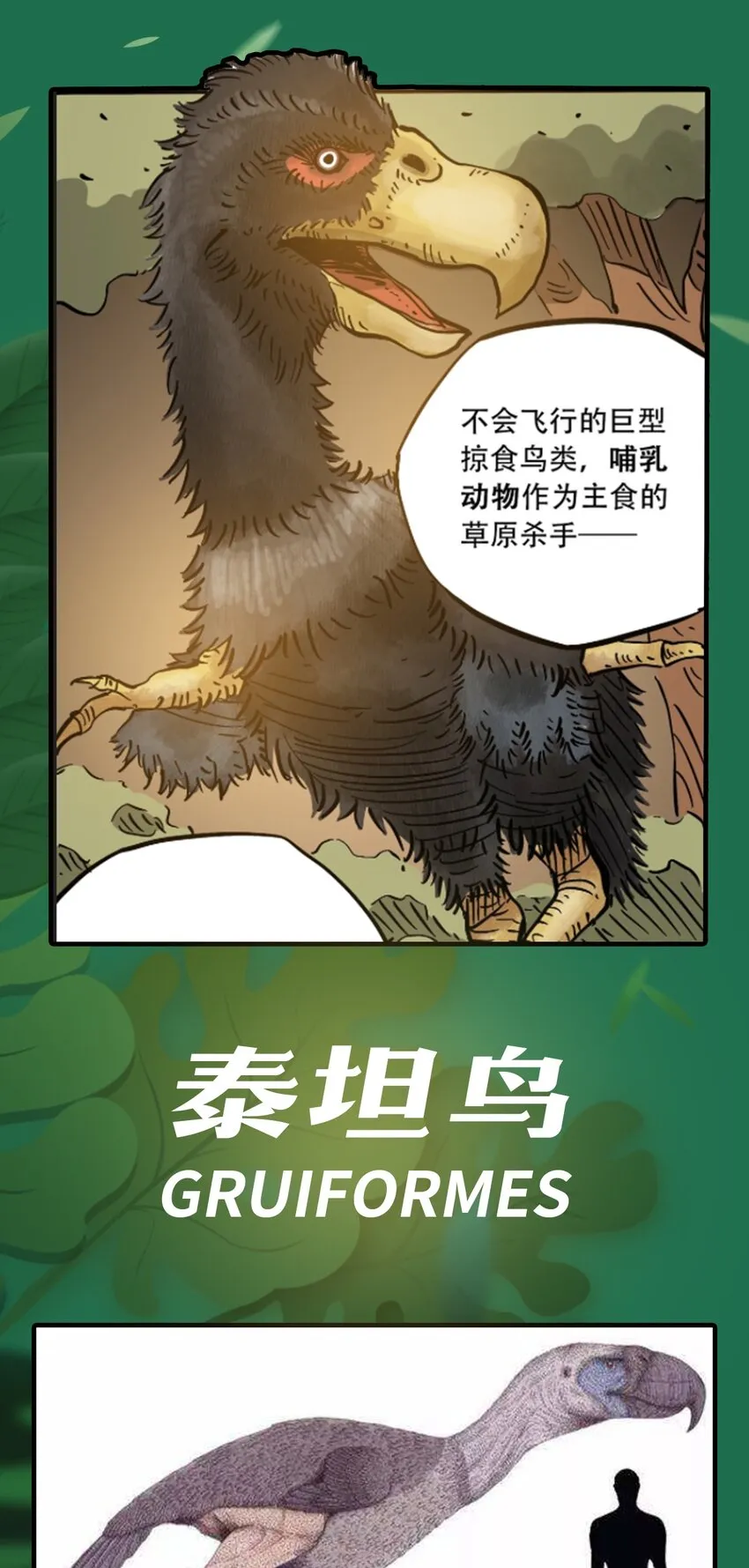 百科 虫男大百科3 第9页