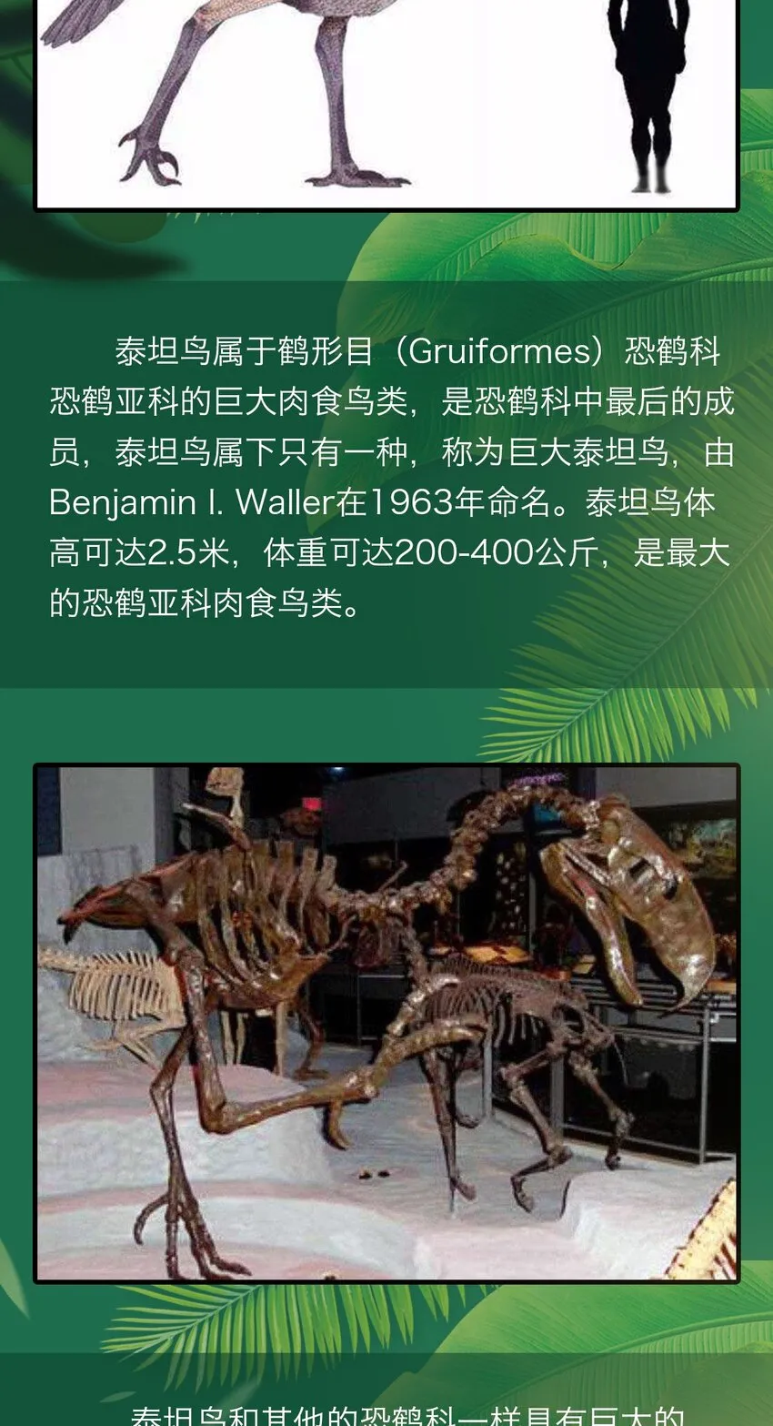 百科 虫男大百科3 第10页