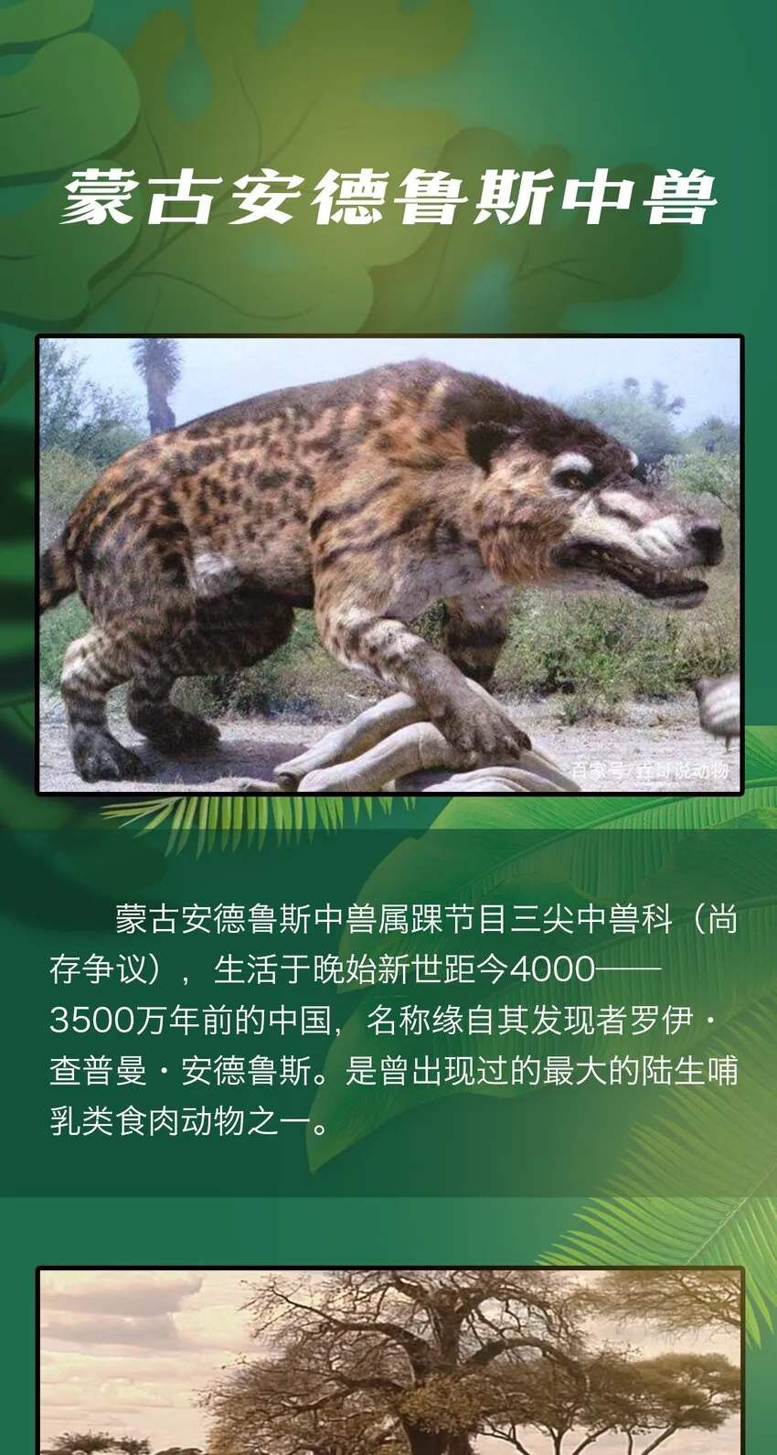 百科 虫男大百科3 第13页
