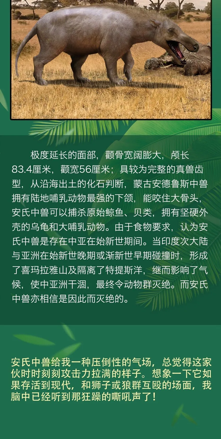 百科 虫男大百科3 第14页