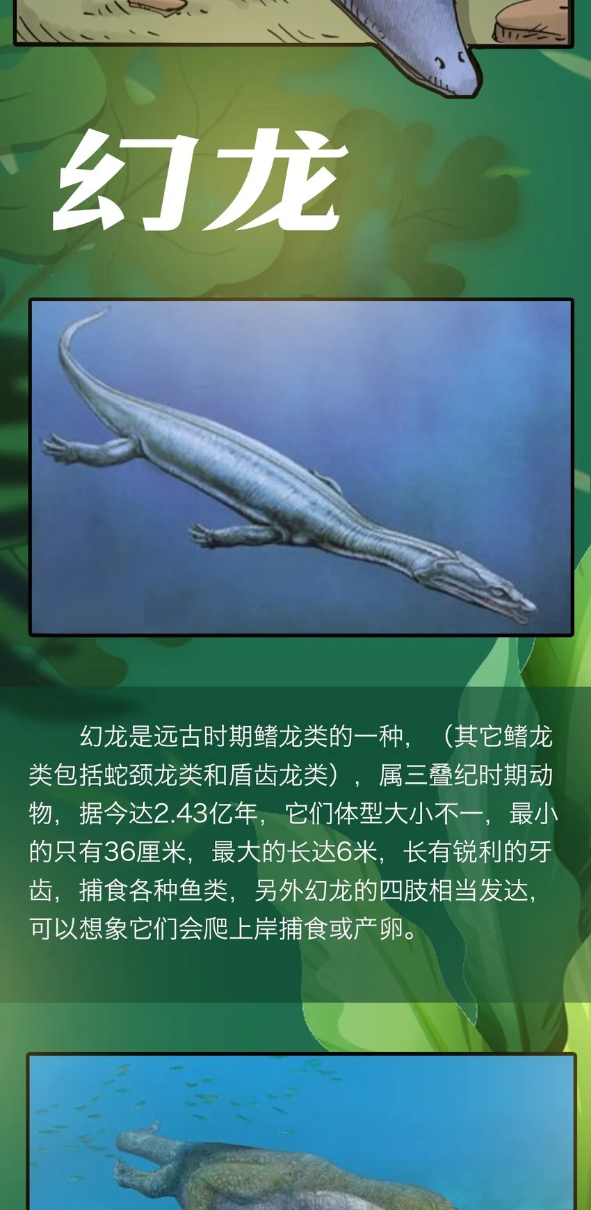 百科 虫男大百科3 第16页