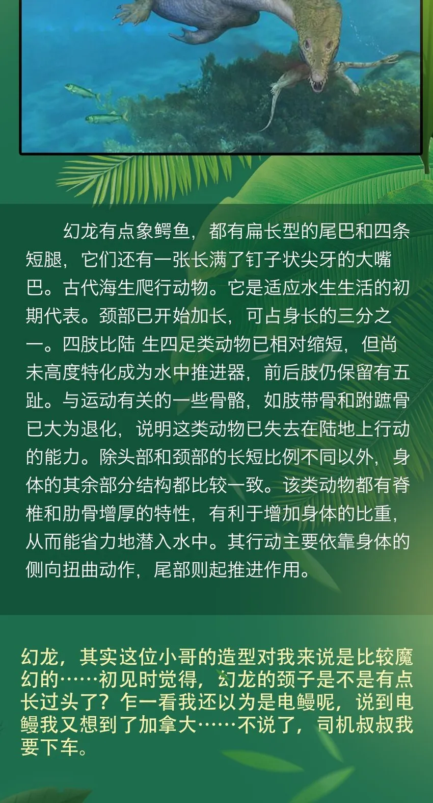 百科 虫男大百科3 第17页