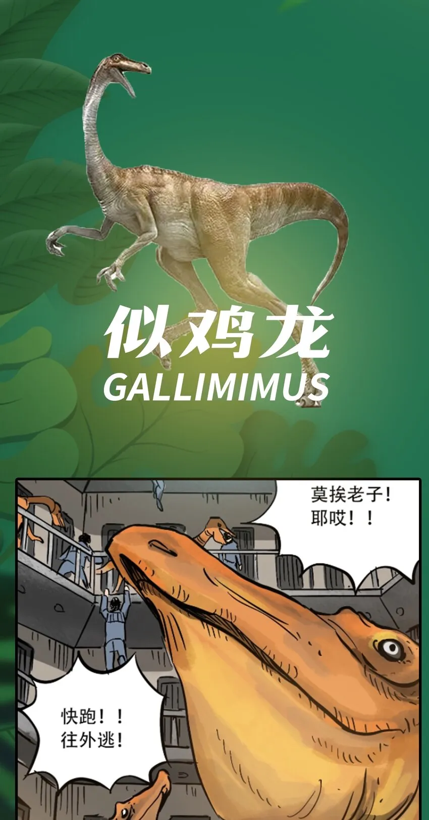 百科 虫男大百科3 第18页