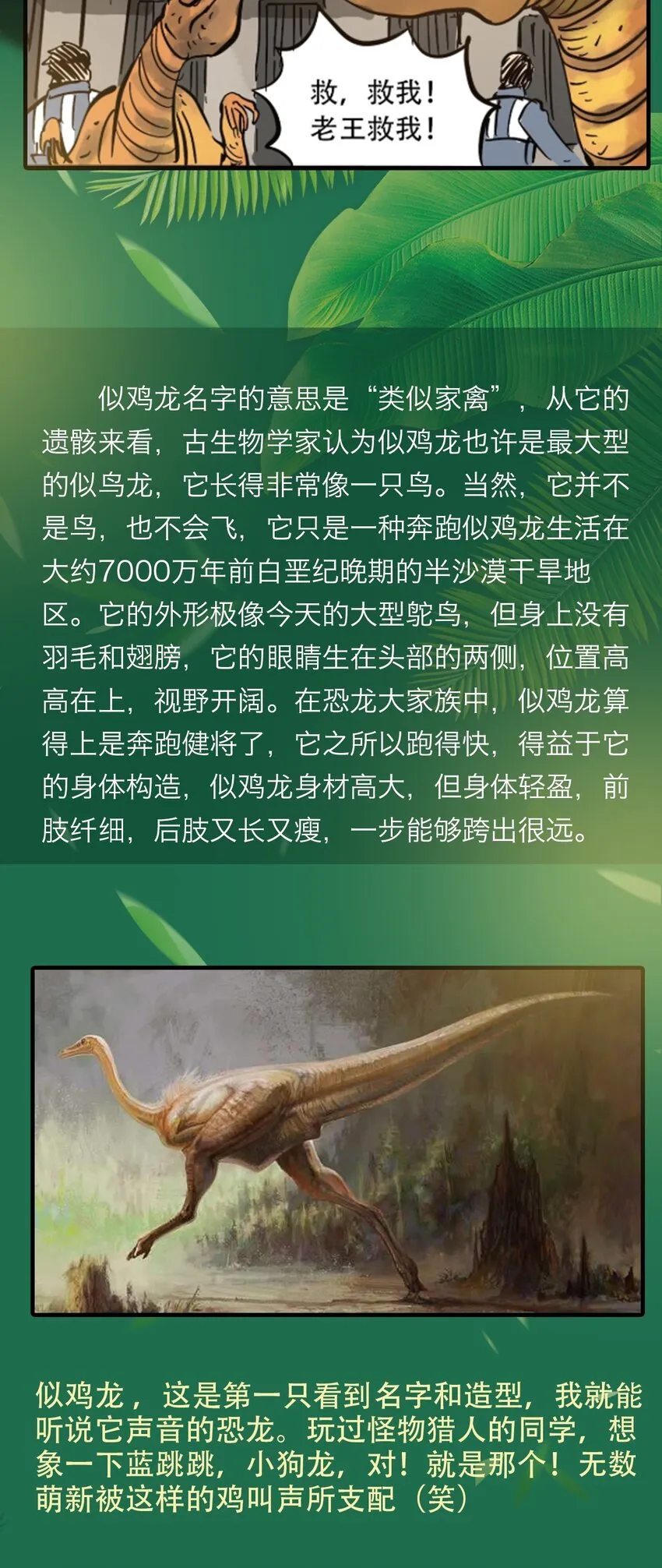 百科 虫男大百科3 第19页