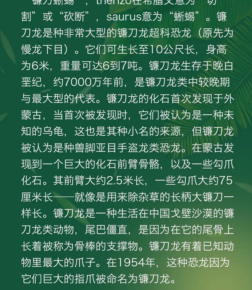 百科 虫男大百科3 第25页