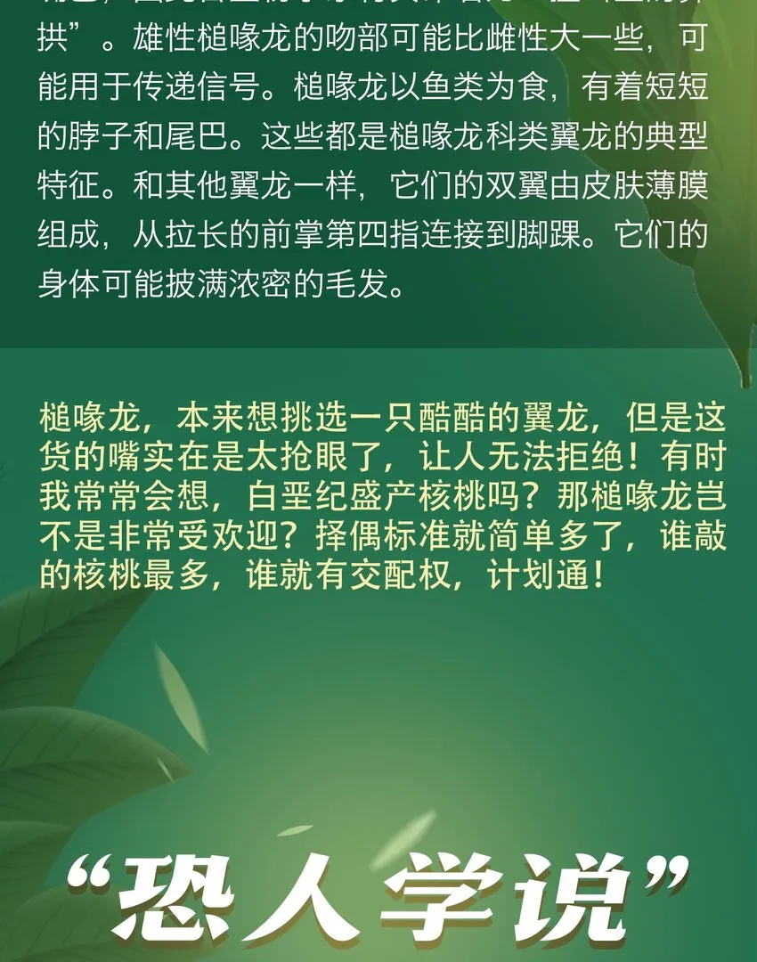 百科 虫男大百科3 第29页