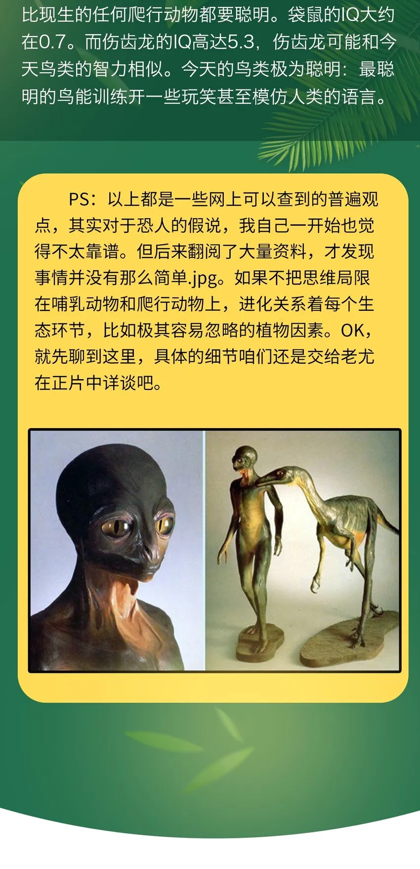 百科 虫男大百科3 第31页