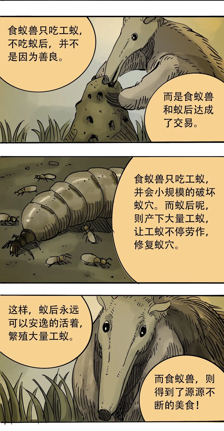 60 卑鄙的交易者 第28页