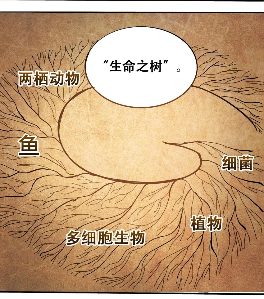 番外3 设计人类 第4页