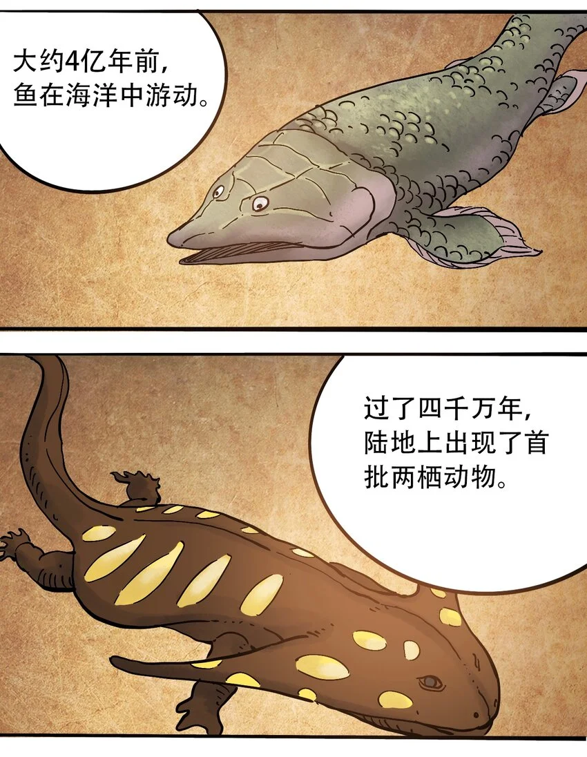 番外3 设计人类 第5页