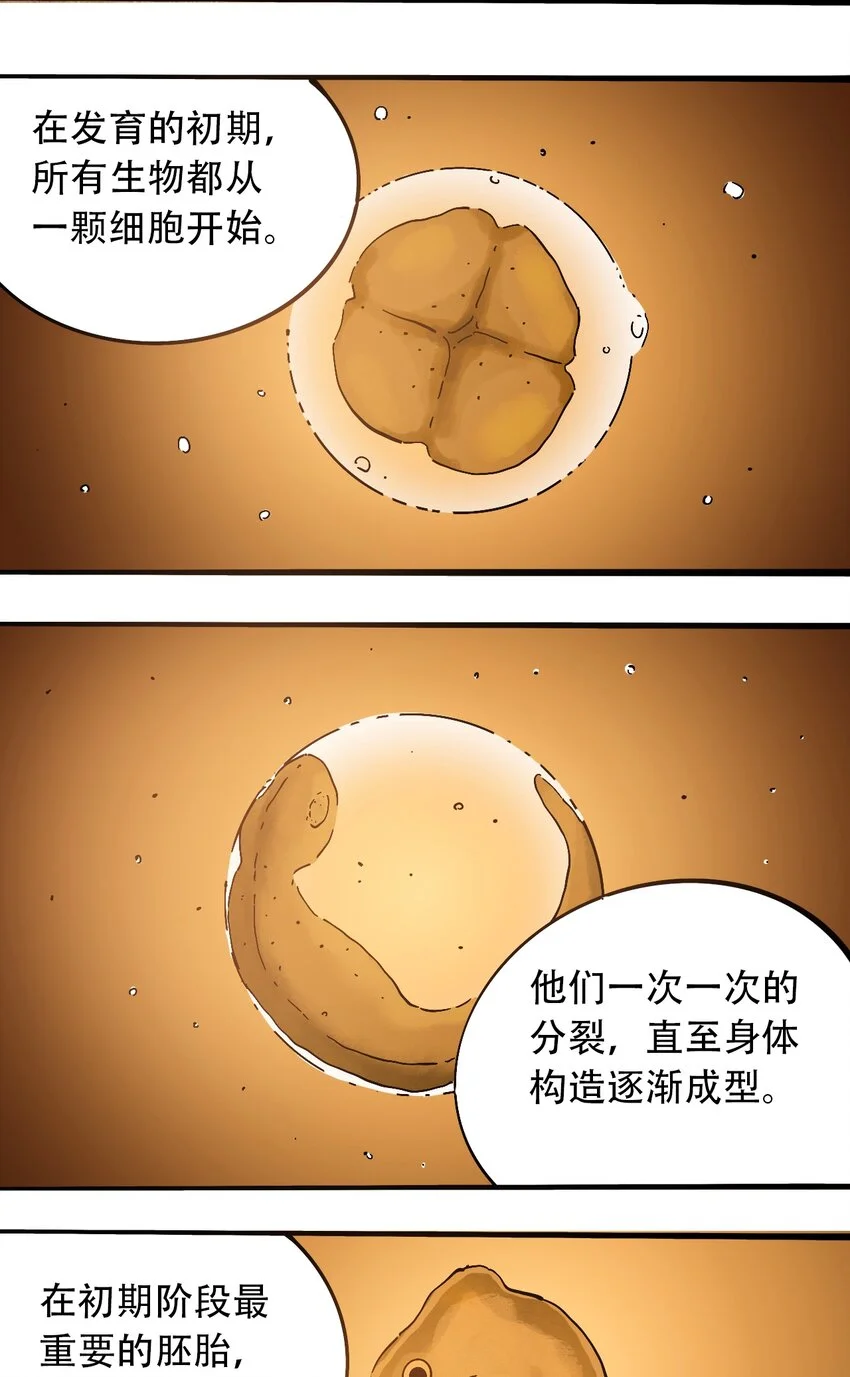 番外3 设计人类 第8页