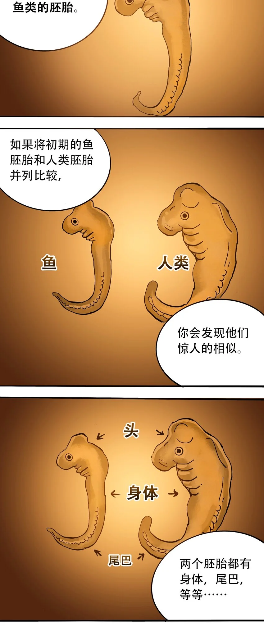 番外3 设计人类 第9页