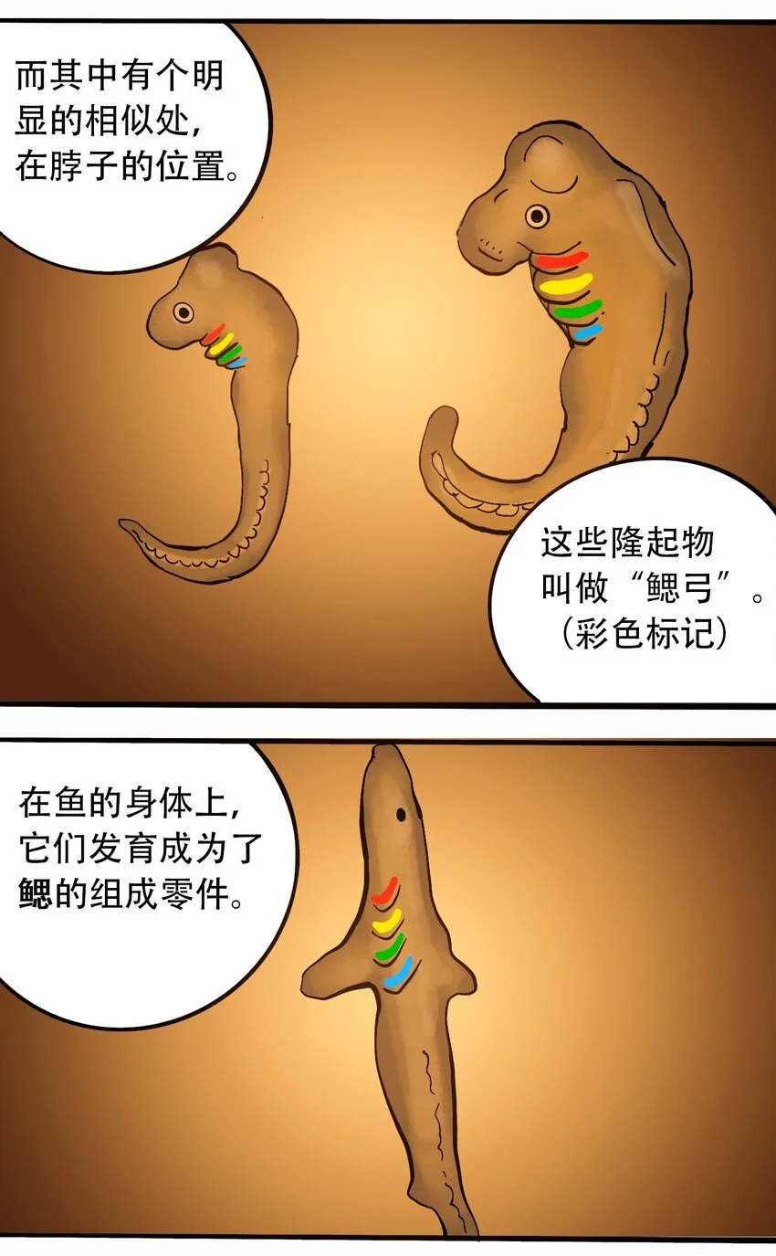 番外3 设计人类 第10页