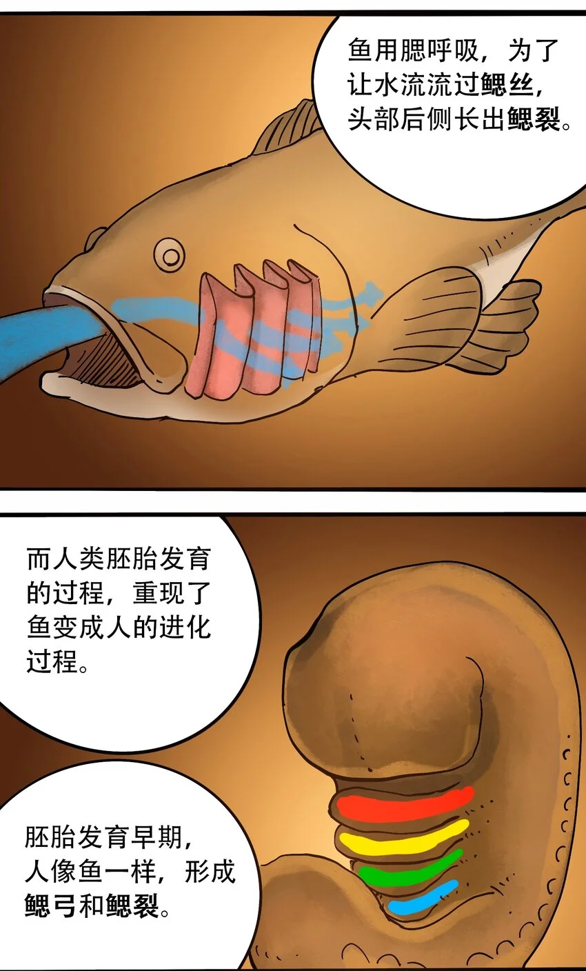 番外3 设计人类 第11页