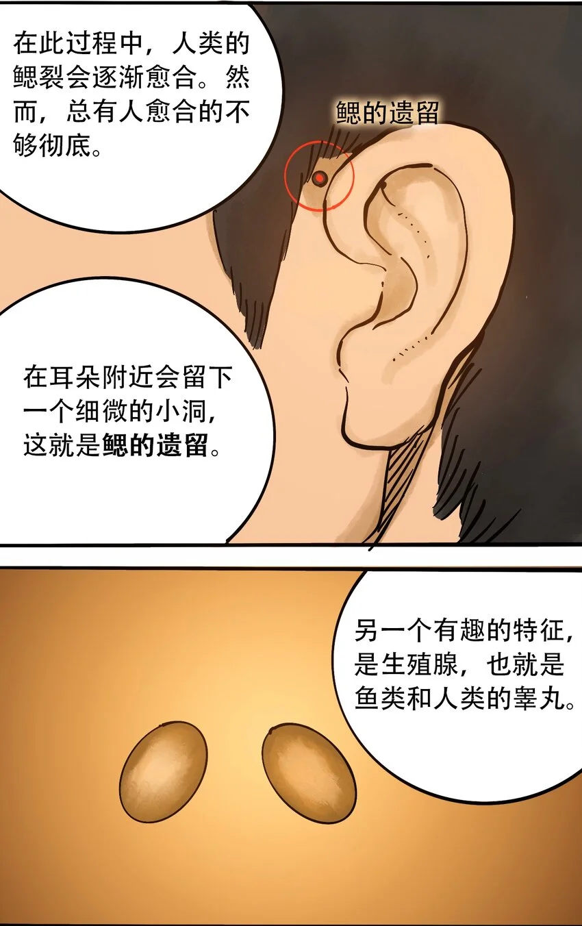 番外3 设计人类 第13页