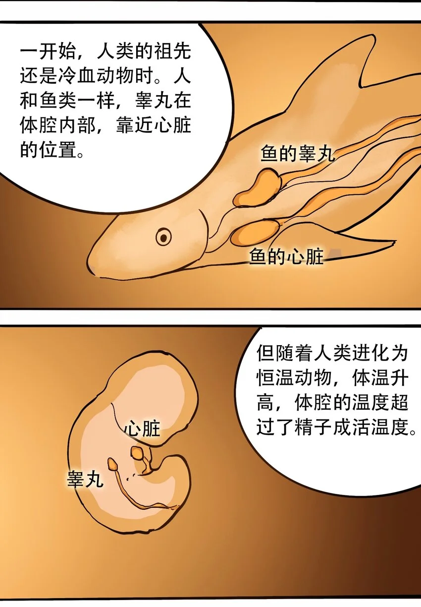 番外3 设计人类 第14页