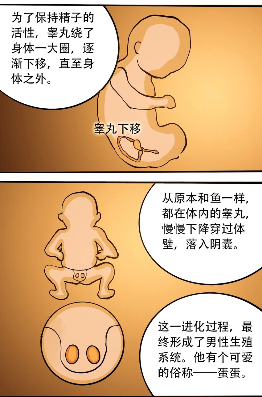 番外3 设计人类 第15页