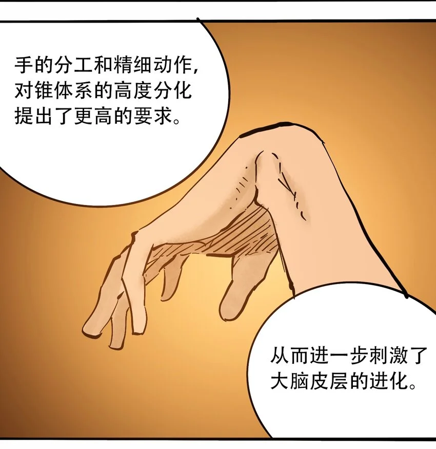 番外3 设计人类 第17页