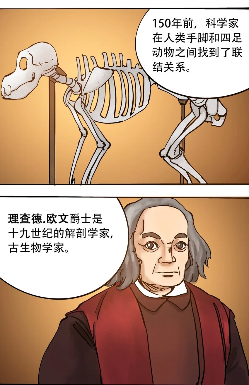 番外3 设计人类 第18页