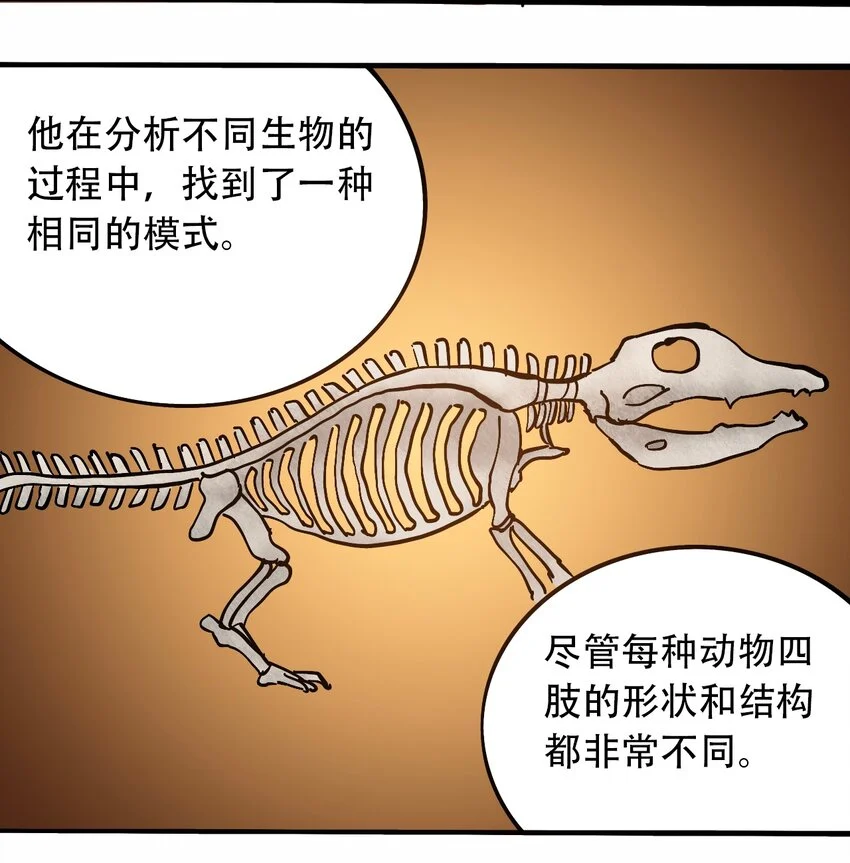 番外3 设计人类 第19页