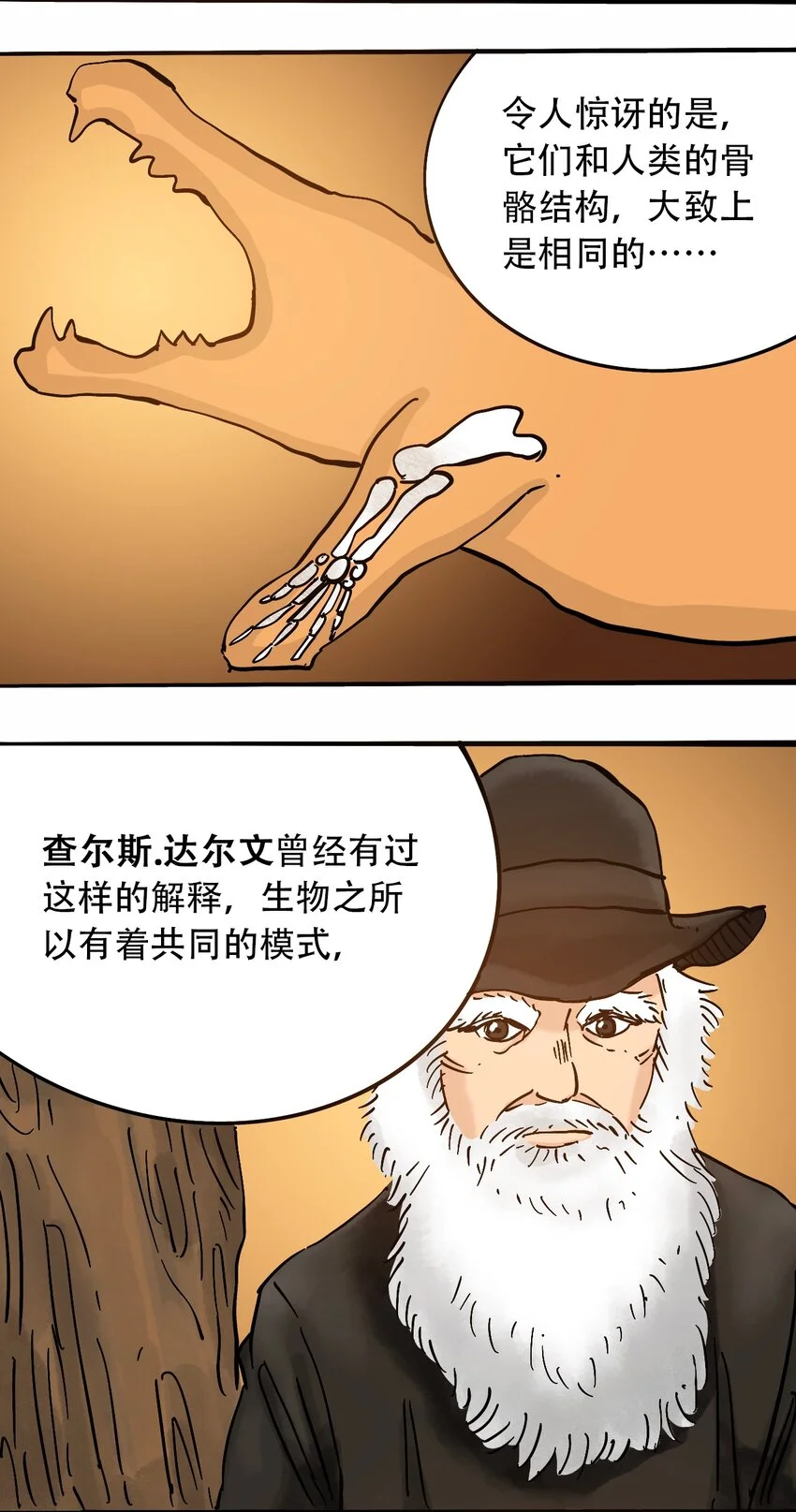番外3 设计人类 第21页