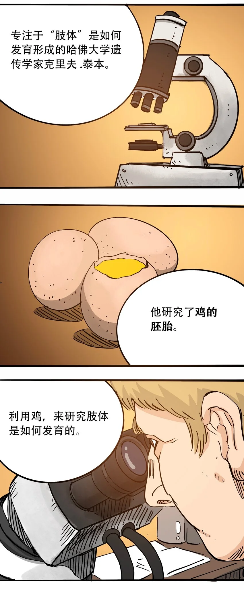 番外3 设计人类 第25页