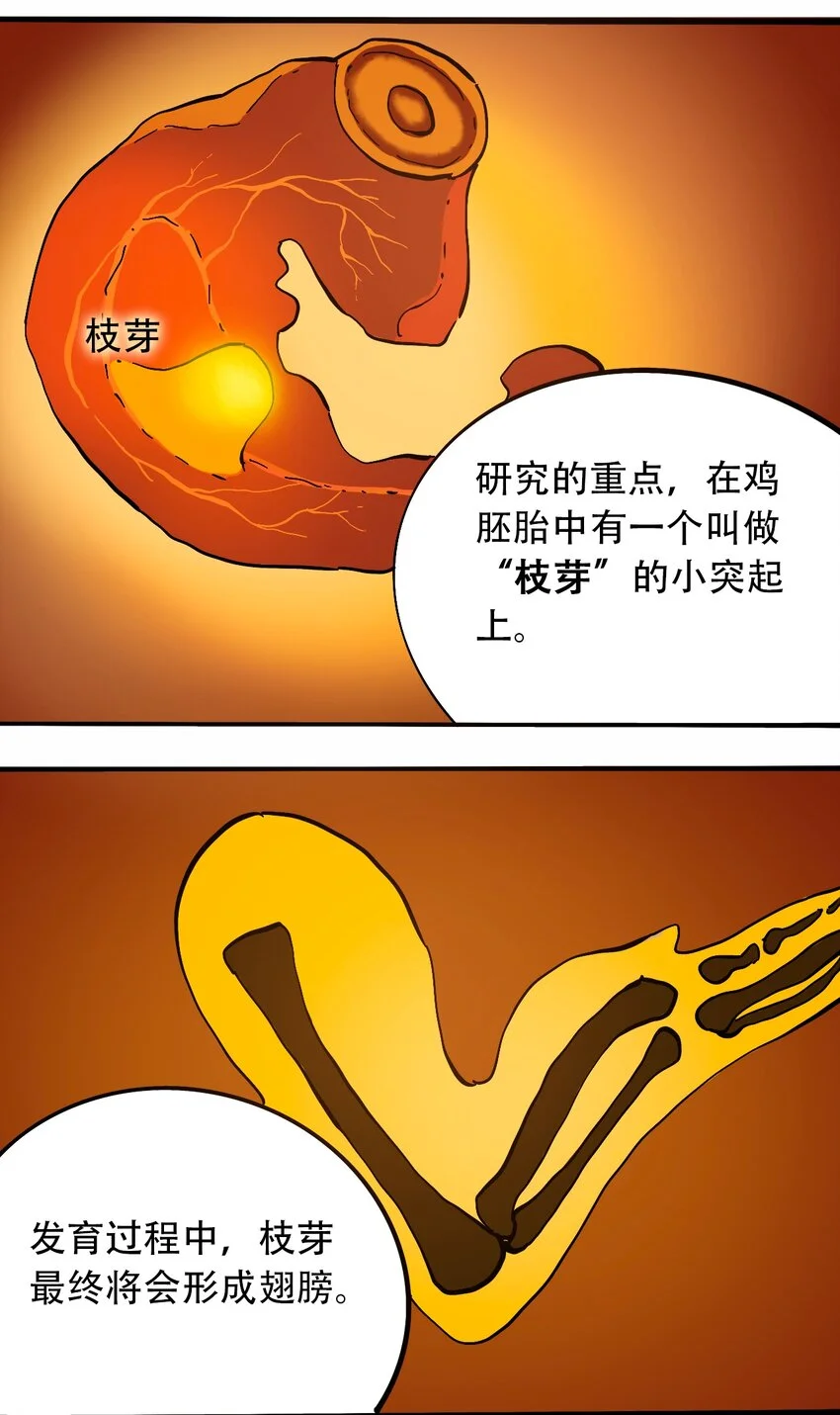 番外3 设计人类 第26页