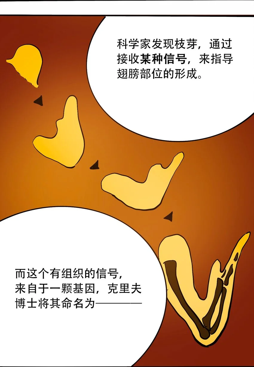 番外3 设计人类 第27页