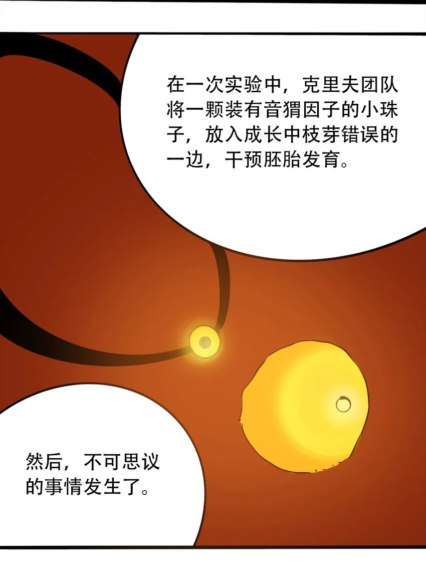 番外3 设计人类 第29页