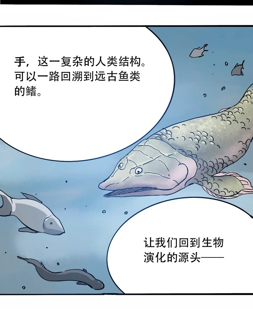 番外3 设计人类 第33页