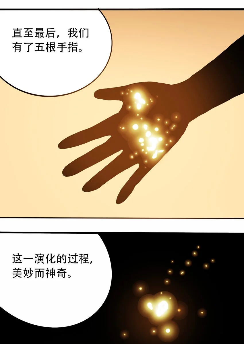 番外3 设计人类 第43页