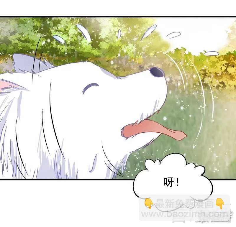 第41话 真·虐狗！ 第22页