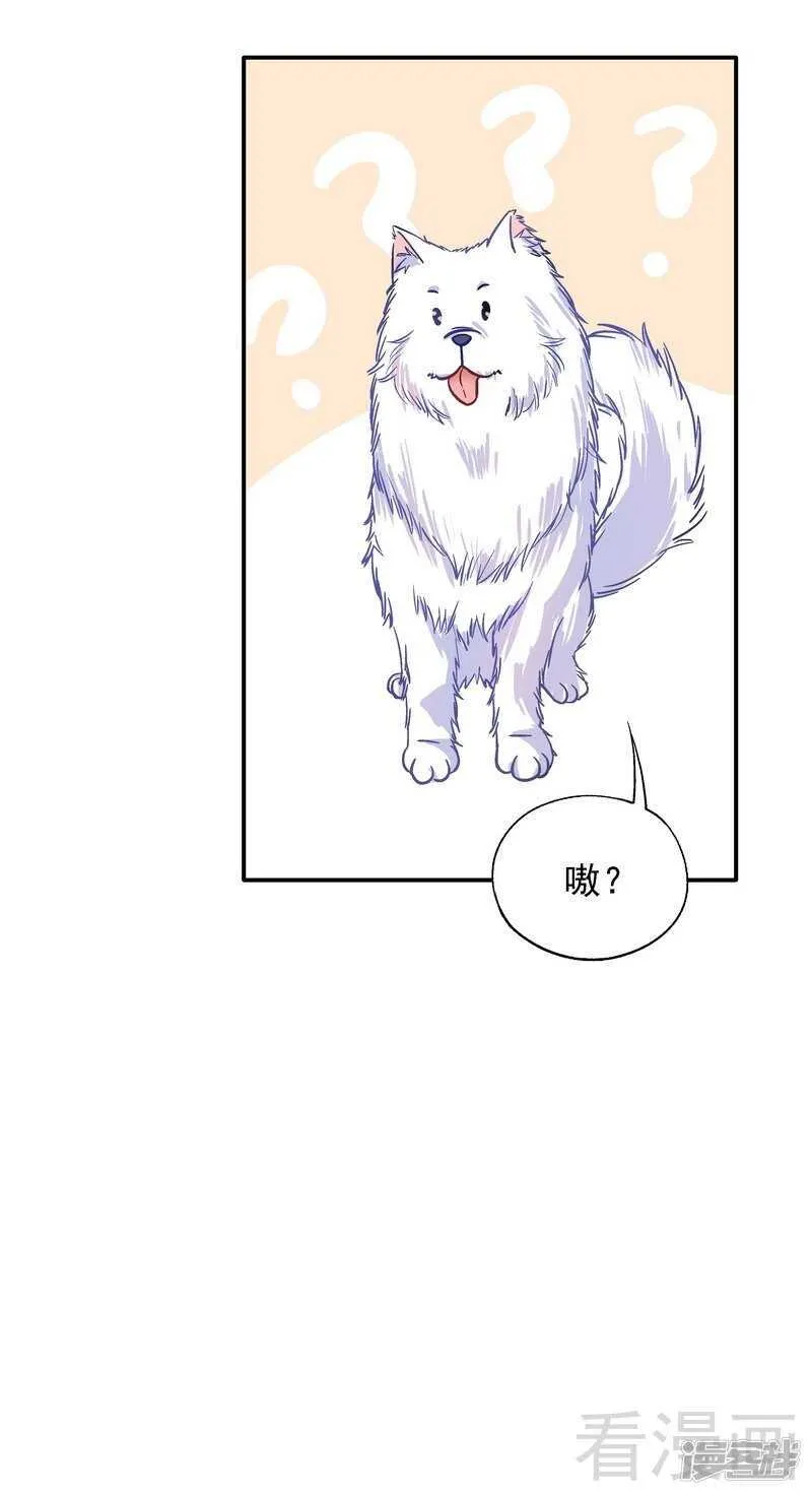 第41话 真·虐狗！ 第37页