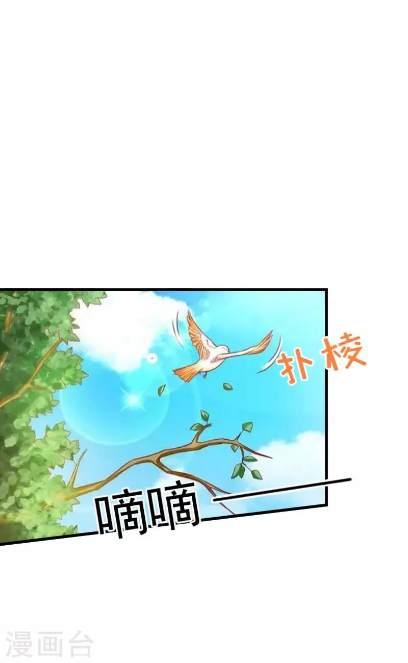 第37话 车祸 第3页