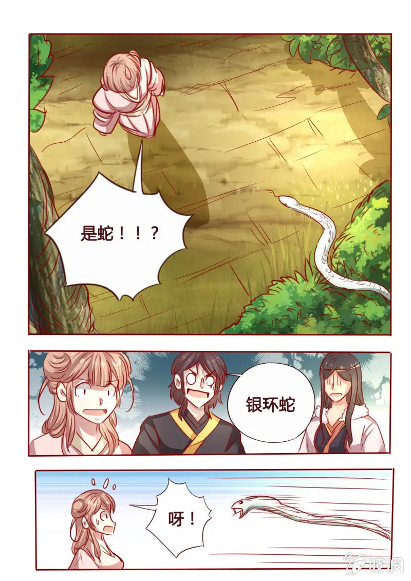 银环毒蛇 第6页