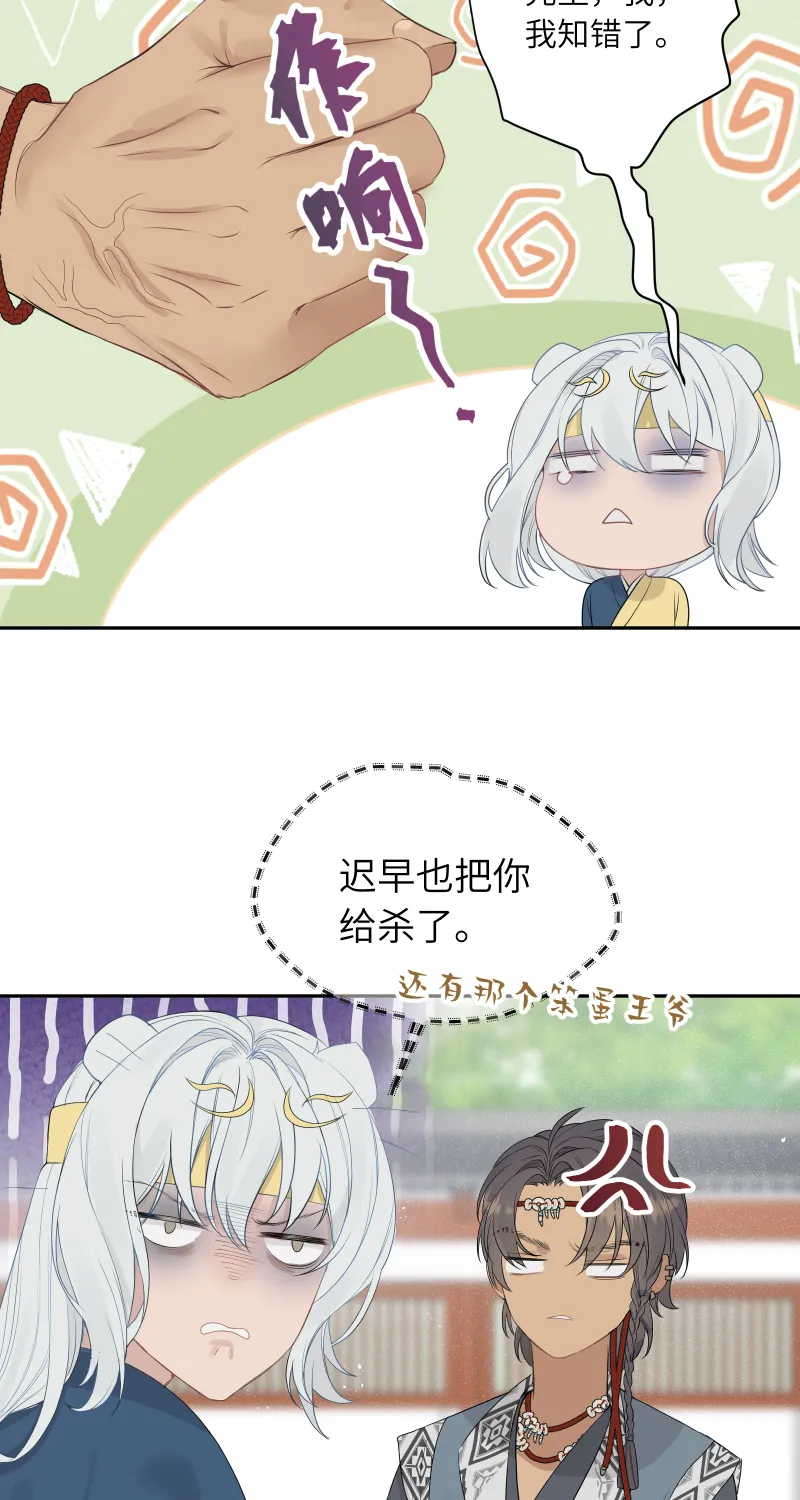 54 第15页